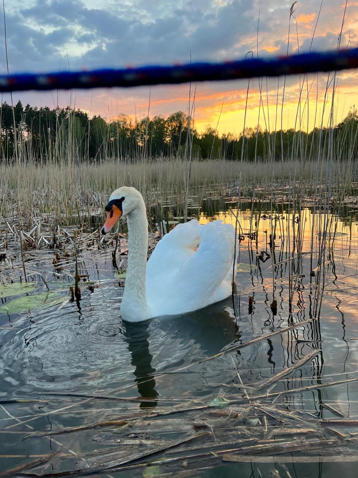 Dom Natura Villa Zdbice Esterno foto