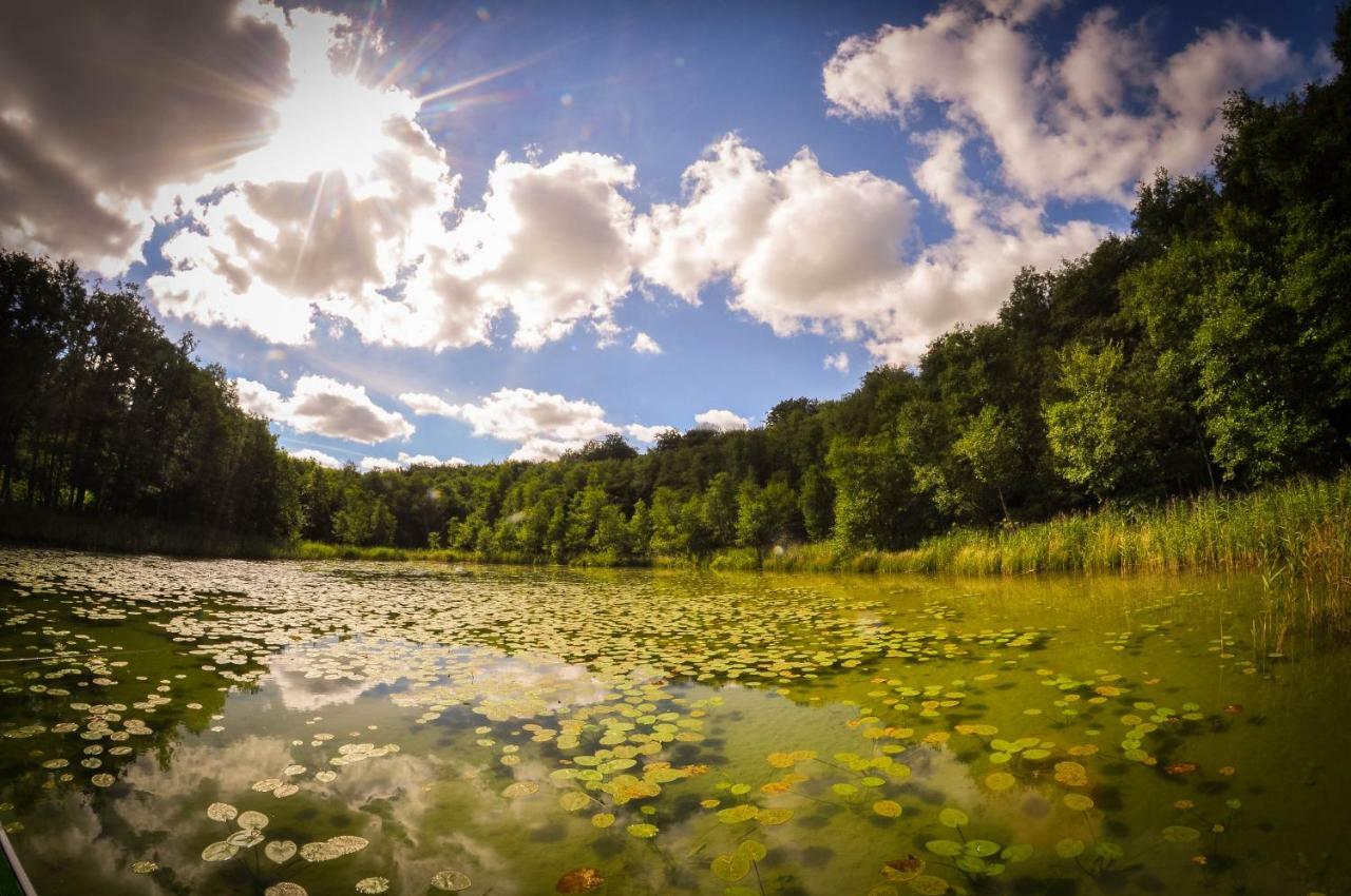 Dom Natura Villa Zdbice Esterno foto