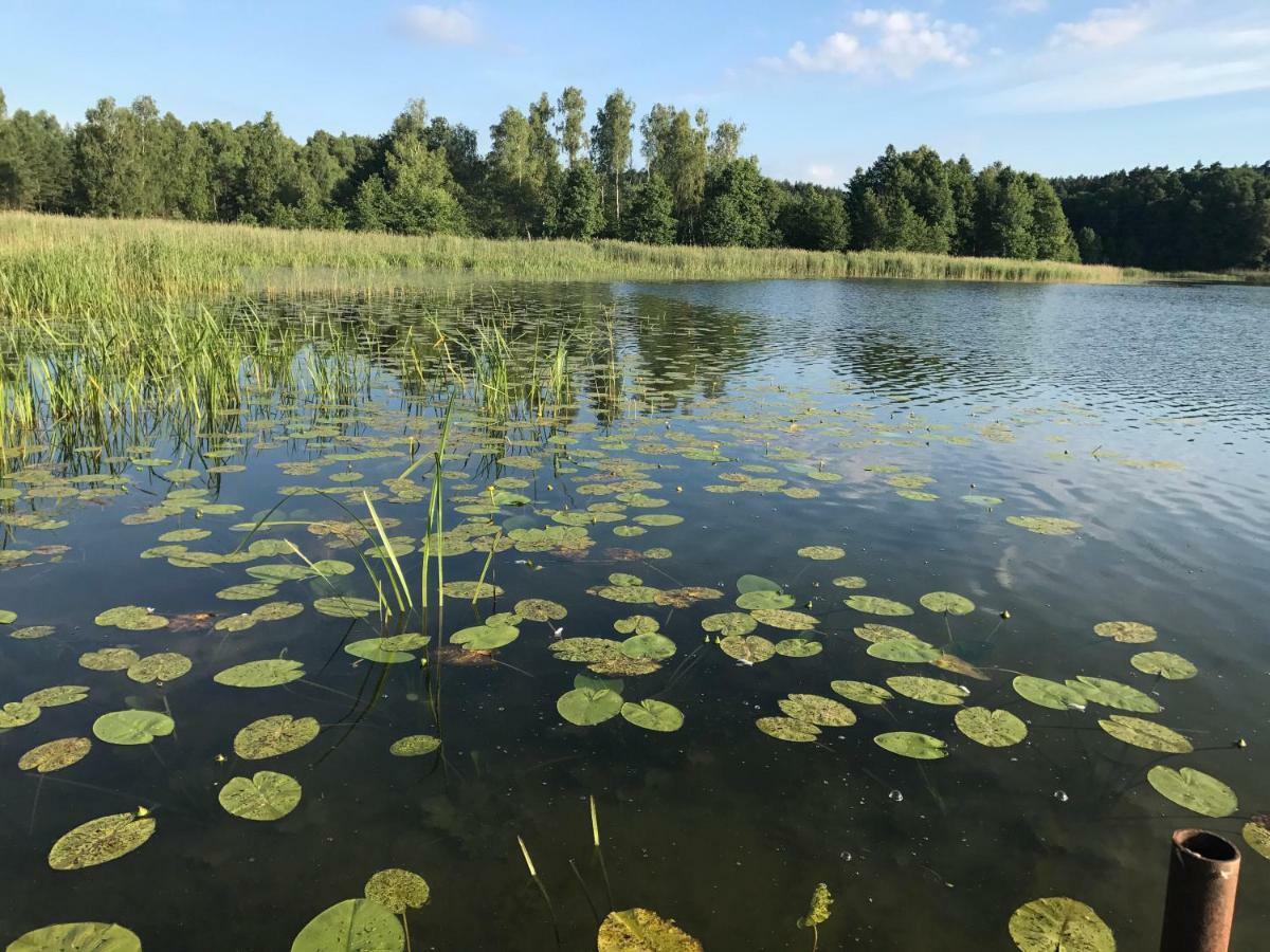 Dom Natura Villa Zdbice Esterno foto